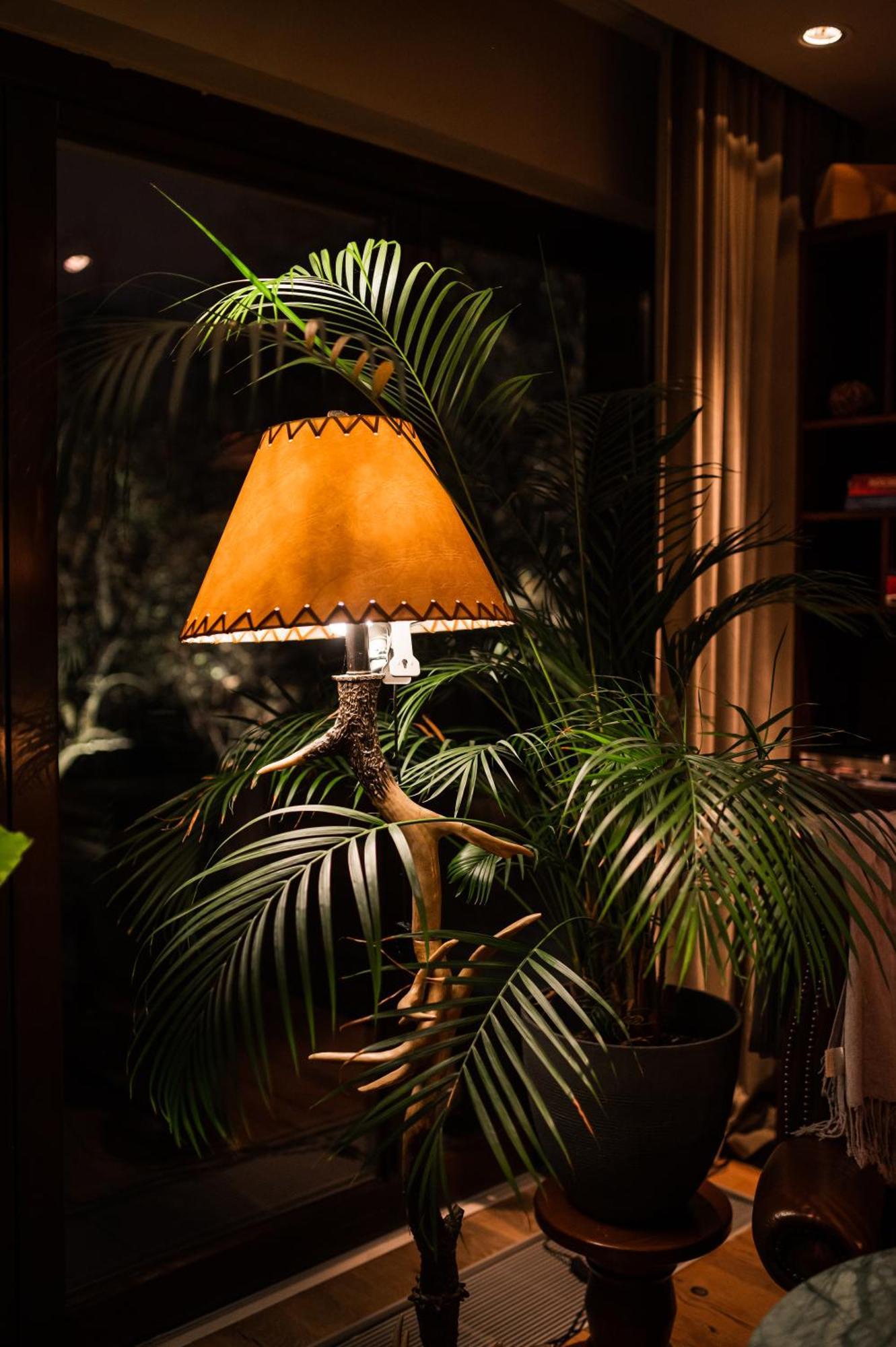 Le Petit Chalet - Artegianale ブラショフ エクステリア 写真